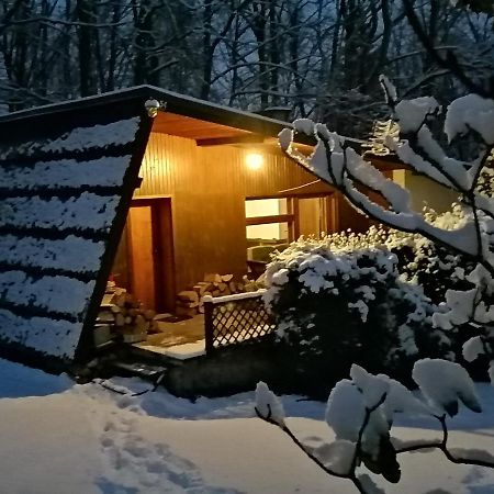 Вилла Chalpa Na Skarpie Meszna Экстерьер фото