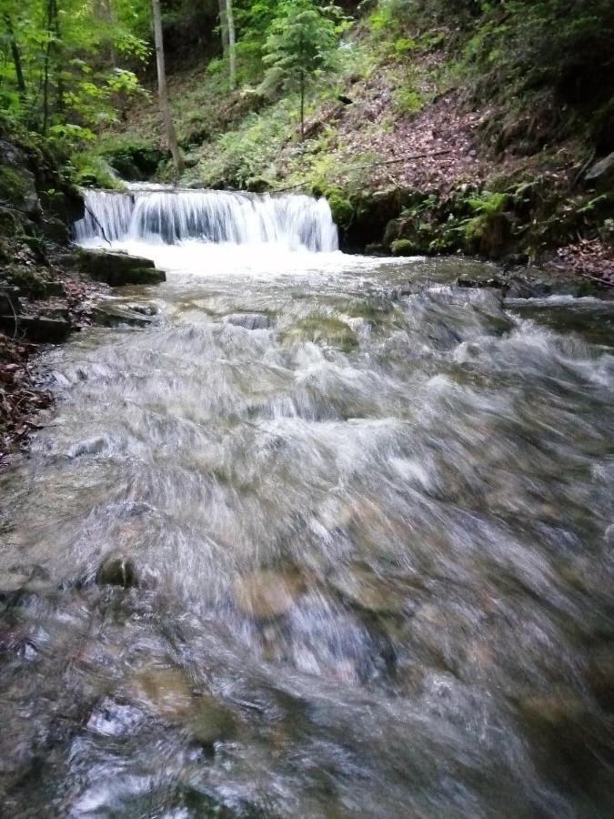 Вилла Chalpa Na Skarpie Meszna Экстерьер фото